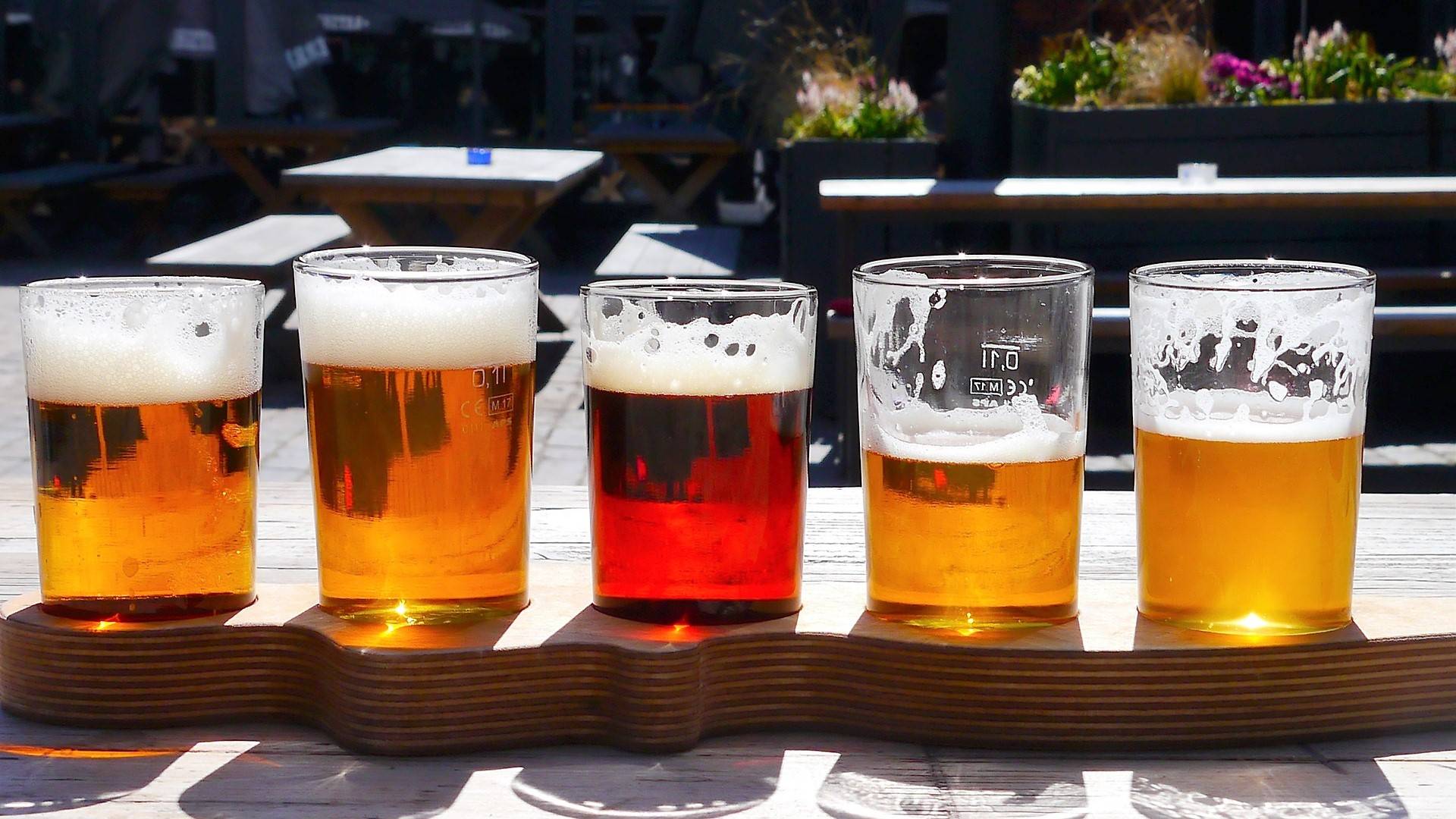 Commercial Brewery Water Treatment Craft beer sampler from local breweries